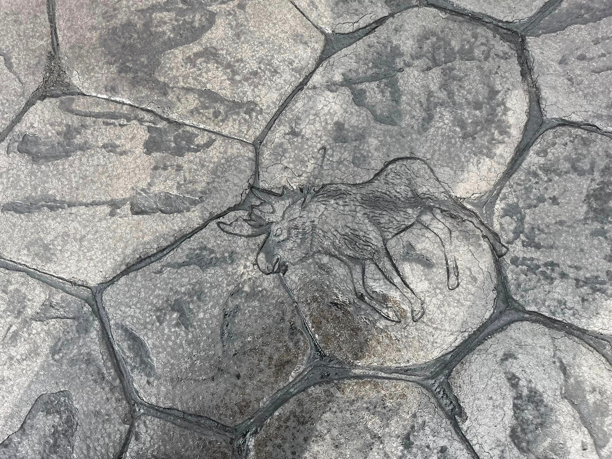 Stamped Moose Design — concrete project in Quesnel